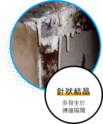 針狀結晶多發生於磚牆隔間